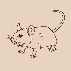 Mouse. Hand drawn vector illustration.