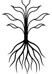 Root System Silhouette Vector on White Background