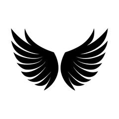 eagle with wings vector