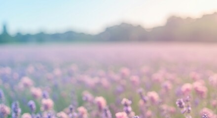 Fototapeta premium Blurred blooming garden scene pastel and dreamy tones suitable as romantic background