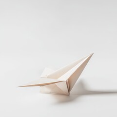 Folded Paper Airplane