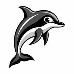 dolphin isolated on white background
