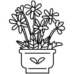 Potted Daisy