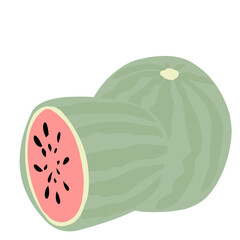 Watermelon Fruit illusrtation