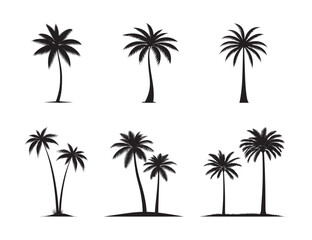 Fototapeta premium Palm Tree Silhouette Collection – Tropical Tree Vector Set