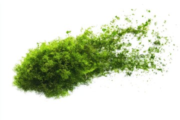 Green foliage explosion on white background