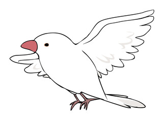 色とりどり 白文鳥 飛ぶ