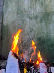 The image shows a close-up view of a vibrant flame burning against a greenish, slightly textured...
