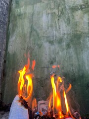 The image shows a close-up view of a vibrant flame burning against a greenish, slightly textured...