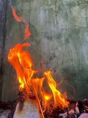 The image shows a close-up view of a vibrant flame burning against a greenish, slightly textured...