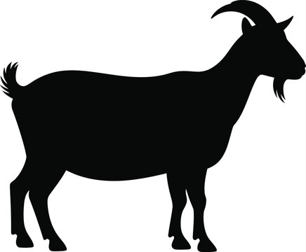 Silhouette of a standing goat depicted in black and white vector illustration for design projects