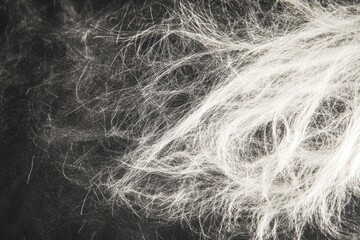 Obraz premium Abstract white fluffy material on dark background