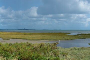 Coastal plains of the English Channel or La Manche at Quettehou in Northern Normandy France with in...