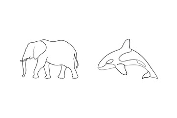 Minimalist line art illustration of an elephant and a killer whale on white background