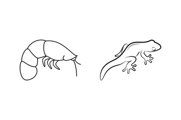 Line art illustrations of a lobster and gecko isolated on a white background