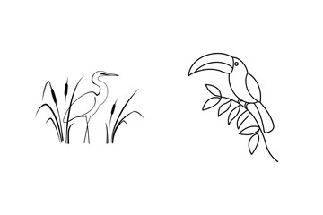 Fototapeta premium Minimalist black and white illustrations featuring a heron in reeds and a toucan on a branch