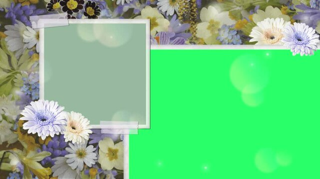 Animation flower card frame with green screen.