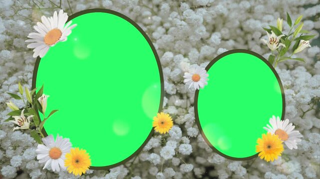Animation flower card frame with green screen.