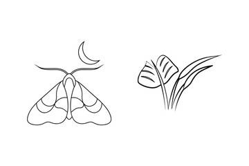 Minimalist black and white moth with crescent moon and tropical plant illustration