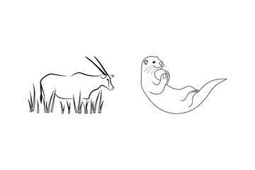 Hand drawn minimalist vector illustration featuring an oryx and a playful otter on white background