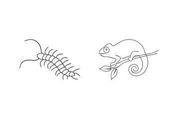 Simple line drawing illustration of a centipede and a chameleon on white background