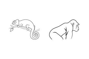 Simple black and white line art illustrations of a chameleon and gorilla on white