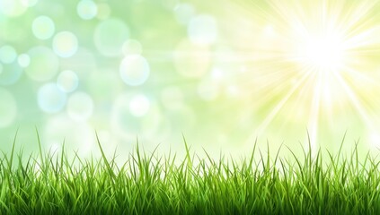 Obraz premium Fresh spring grass under sunlight