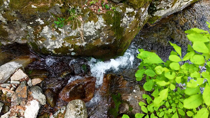 Obraz premium Valley for Summer Vacation ,Slow Motion ,Clear Stream flowing over rocks and rocks ,Rich Valley in slow motion ,Crystal clear water spills over rocks ,Silent natural scene