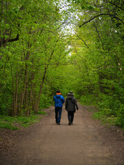 Fototapeta premium Two male friends walking in the summer park illustration