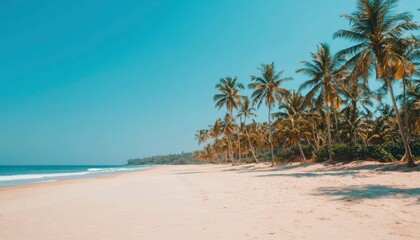 Fototapeta premium Tropical beach scene (3)