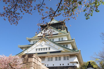 Naklejka premium Osaka, Japan - April 14, 2024: Osaka Castle, a famous Japanese landmark, surrounded by pink sakura trees under a blue sky.