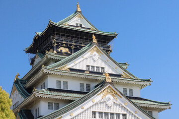 Osaka, Japan - April 14, 2024: Osaka Castle, a famous Japanese landmark, surrounded by pink sakura trees under a blue sky.