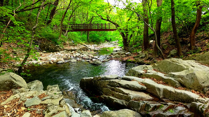 Obraz premium Valley for Summer Vacation ,Slow Motion ,Clear Stream flowing over rocks and rocks ,Rich Valley in slow motion ,Crystal clear water spills over rocks ,Silent natural scene ,Silent flowing riverbed