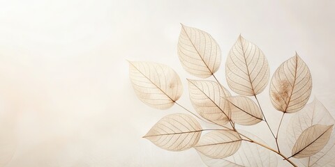 Delicate Leaves Minimalist Vintage Print