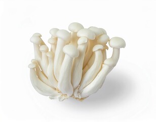 Fresh White Beech Mushrooms Cluster Close up Studio Shot Perfect for Culinary or Health Websites