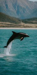 Obraz premium Dolphin Leaping Gracefully Against a Clear Blue Ocean