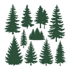 Obraz premium Pine tree silhouettes. Evergreen forest firs and spruces black shapes, wild nature trees templates.