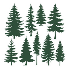 Obraz premium Pine tree silhouettes. Evergreen forest firs and spruces black shapes, wild nature trees templates.