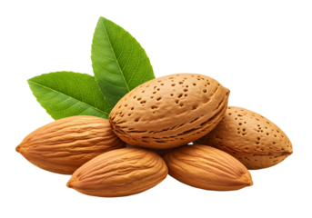 Fresh whole almonds with natural brown skin and green leaves isolated on transparent background.
