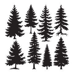 Obraz premium Pine tree silhouettes. Evergreen forest firs and spruces black shapes, wild nature trees templates.
