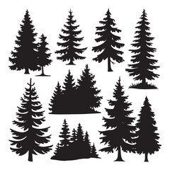Fototapeta premium Pine tree silhouettes. Evergreen forest firs and spruces black shapes, wild nature trees templates.