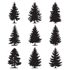 Fototapeta premium Pine tree silhouettes. Evergreen forest firs and spruces black shapes, wild nature trees templates.