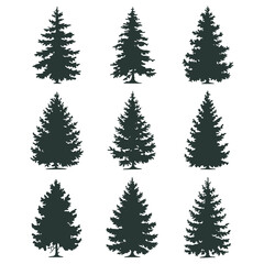 Obraz premium Pine tree silhouettes. Evergreen forest firs and spruces black shapes, wild nature trees templates.