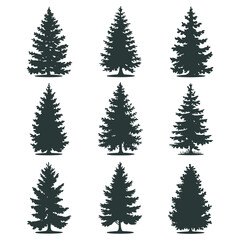 Fototapeta premium Pine tree silhouettes. Evergreen forest firs and spruces black shapes, wild nature trees templates.