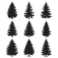 Obraz premium Pine tree silhouettes. Evergreen forest firs and spruces black shapes, wild nature trees templates.