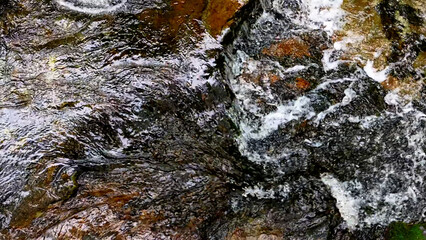 Slow Motion Drone Footage of Crystal-Clear Stream Flow in a Serene Forest Valley, Featuring Gentle Ripples, Tranquil Water Sounds, and the Pristine Beauty of Nature