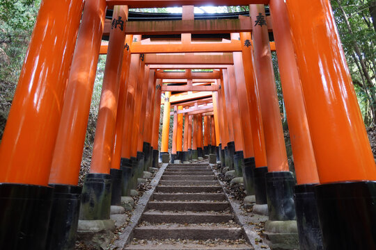 Kyoto, Japan - April 15, 2024: Fushimi Inari Shrine, a mountainside Shinto shrine, featuring hundreds of red wooden torii gates. - Powered by Adobe
