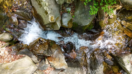 Obraz premium Slow Motion Drone Footage of Crystal-Clear Stream Flow in a Serene Forest Valley, Featuring Gentle Ripples, Tranquil Water Sounds, and the Pristine Beauty of Nature