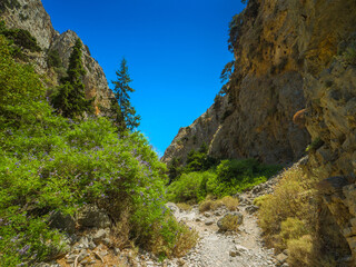 Gorge hiking trail in dry season with purple flowers on the sides (Imbros Gorge, Crete, Greece)