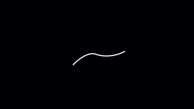 Set of arrows animation on transparent background, Set of animated arrows, white arrows animation with Alpha Channel in 4K.